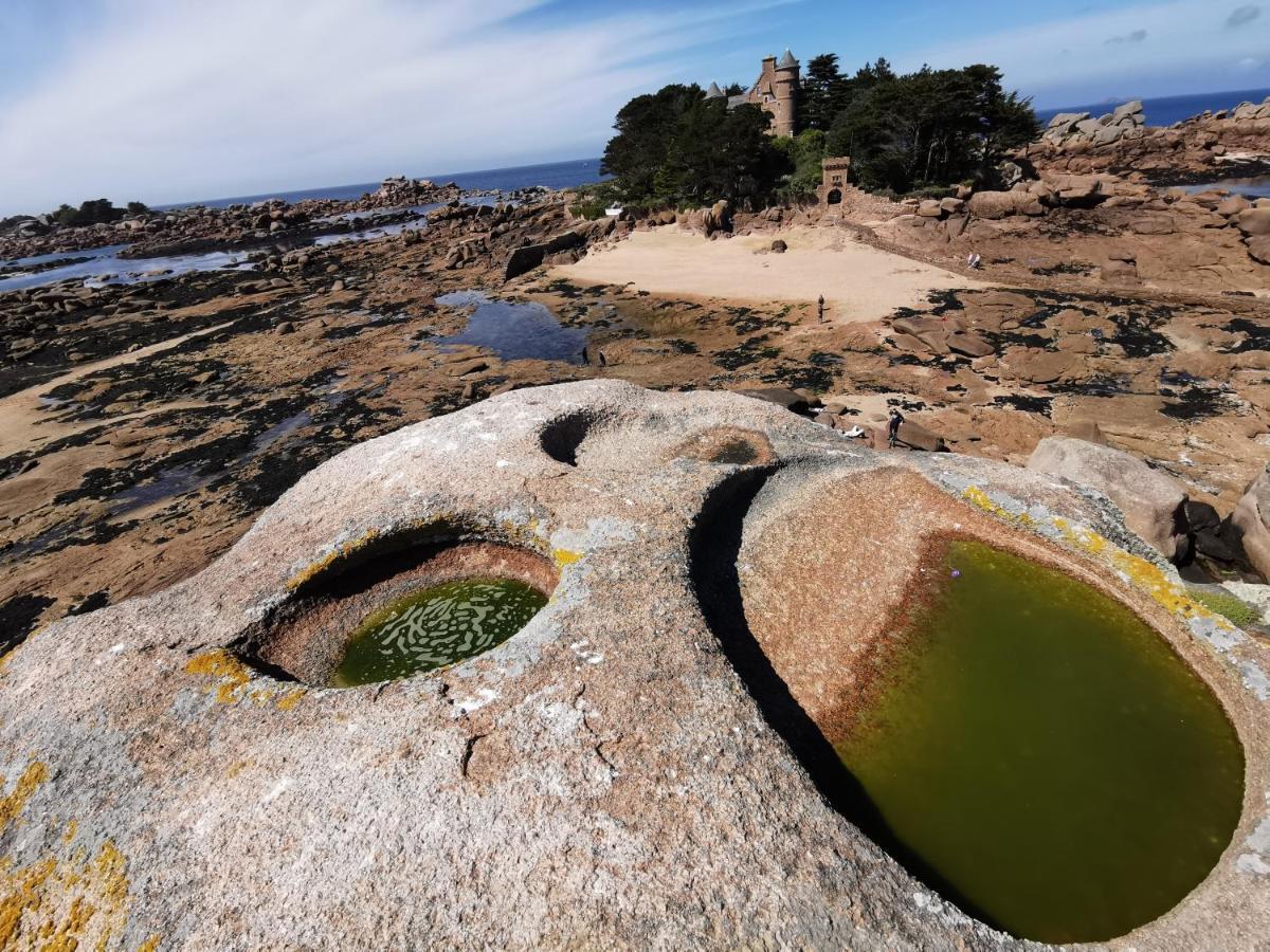 Haut En Couleurs Saint-Quay-Perros Εξωτερικό φωτογραφία